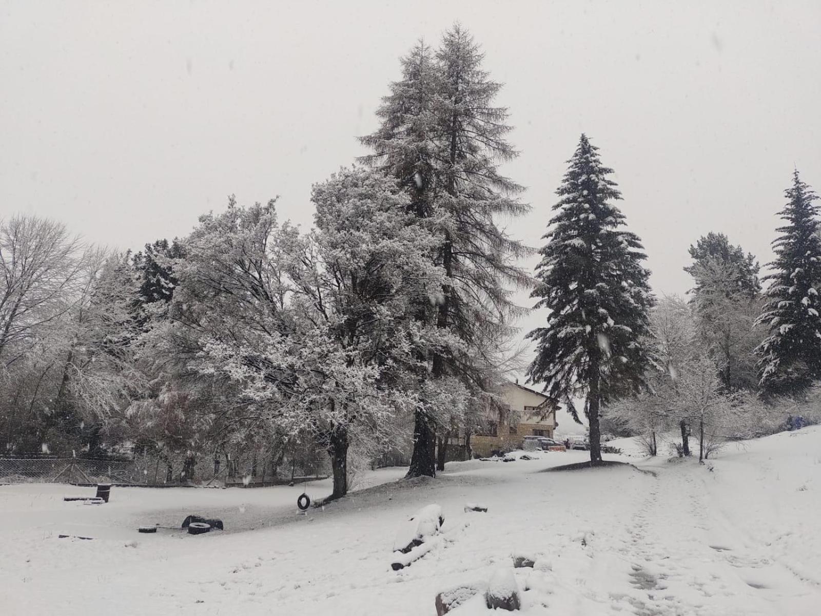 Posada del Ñireco San Carlos de Bariloche Exterior foto